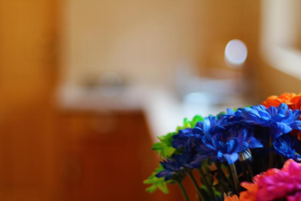 Zakatek Pod Smrekami Bed and Breakfast Kościelisko Kamer foto